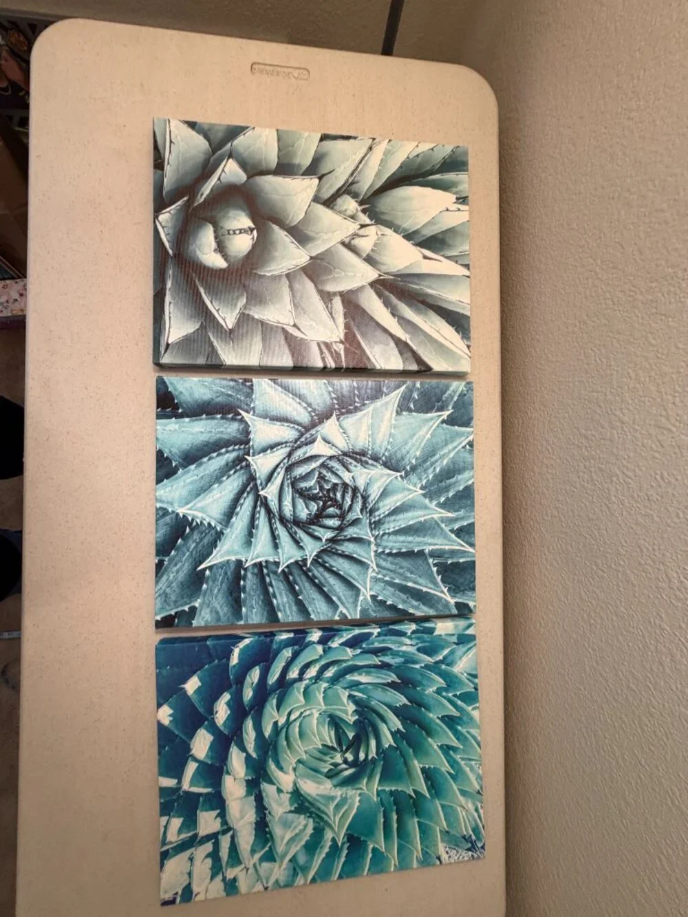 3-Piece Agave Botanical Succulent Wrapped Canvas Wall Art Set